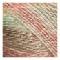 James C Brett Autumn Feels Baby Marble DK Yarn 100g image number 2
