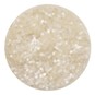 Silver White Biodegradable Flaky Glitter Shaker 20g image number 2