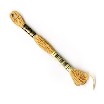 DMC Orange Mouline Special 25 Cotton Thread 8m (437)