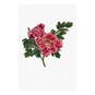 FREE PATTERN DMC Ornamental Rose Cross Stitch image number 1