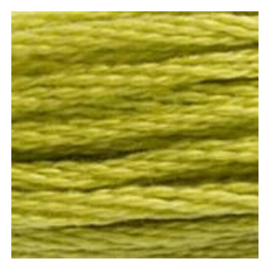 DMC Green Mouline Special 25 Cotton Thread 8m (166) image number 2