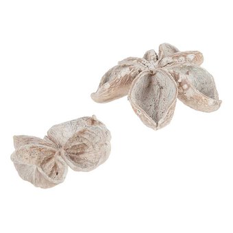 White Landlotus 4 Pieces