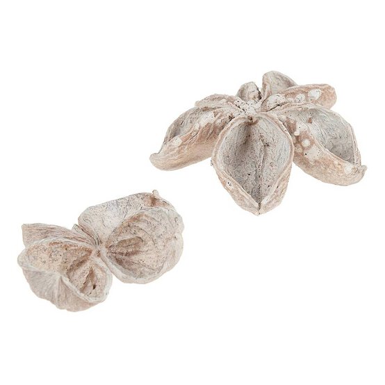 White Landlotus 4 Pieces image number 1