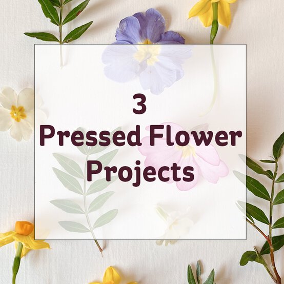 3 Pressed Flower Projects image number 1
