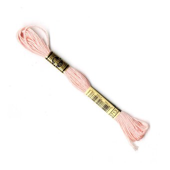 DMC Pink Mouline Special 25 Cotton Thread 8m (3713)