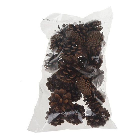 Pine Cones 200 g