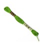 DMC Green Mouline Special 25 Cotton Thread 8m (905) image number 1
