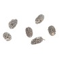 Birch Pine Cones 50 g image number 1