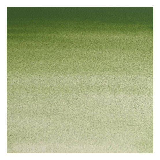 Winsor & Newton Oxide of Chromium Professional Watercolour Tube 5ml image number 2