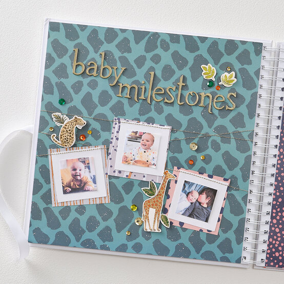 How to Create a Baby Milestone Scrapbook image number 1