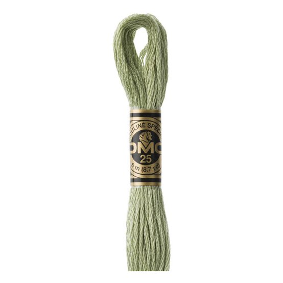 DMC Green Mouline Special 25 Cotton Thread 8m (3053) image number 1