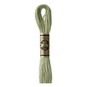 DMC Green Mouline Special 25 Cotton Thread 8m (3053) image number 1