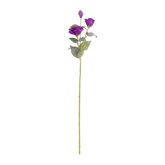 Purple Lisianthus Spray 70cm x 10cm image number 1