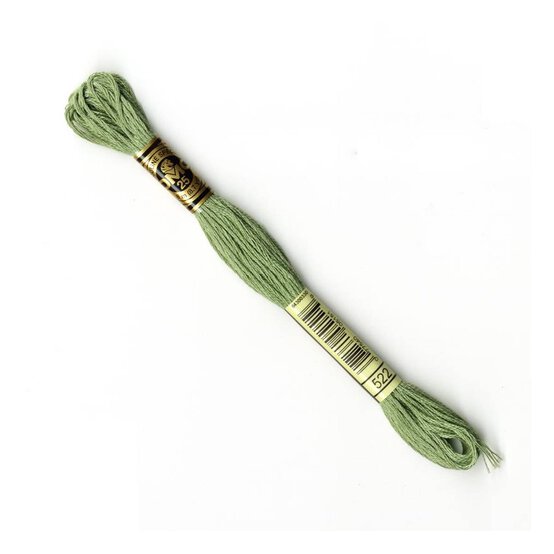 DMC Green Mouline Special 25 Cotton Thread 8m (522) image number 1