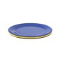 Assorted Craft Paper Plates 10 Pack image number 3