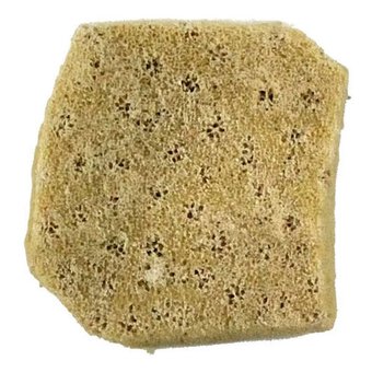 Royal & Langnickle Elephant Ear Sponge