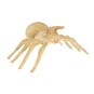 Decopatch Mache Spider 19cm image number 1