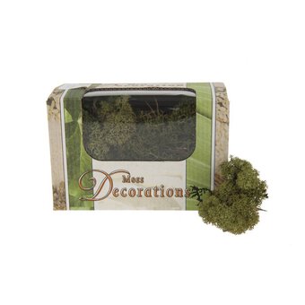 Green Reindeer Moss 50 g