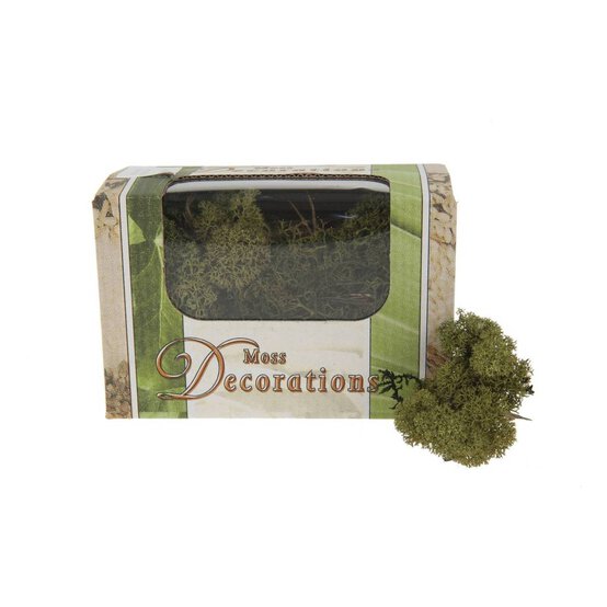 Green Reindeer Moss 50 g image number 1
