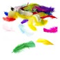 Craft Feathers Bumper Pack 20g image number 1