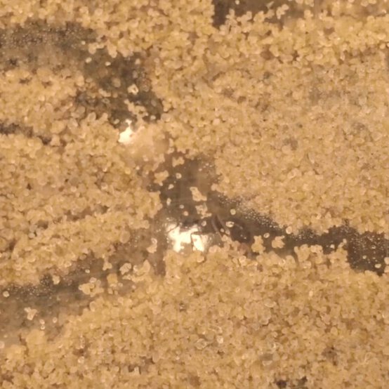 My Living World Ant World Kit image number 3