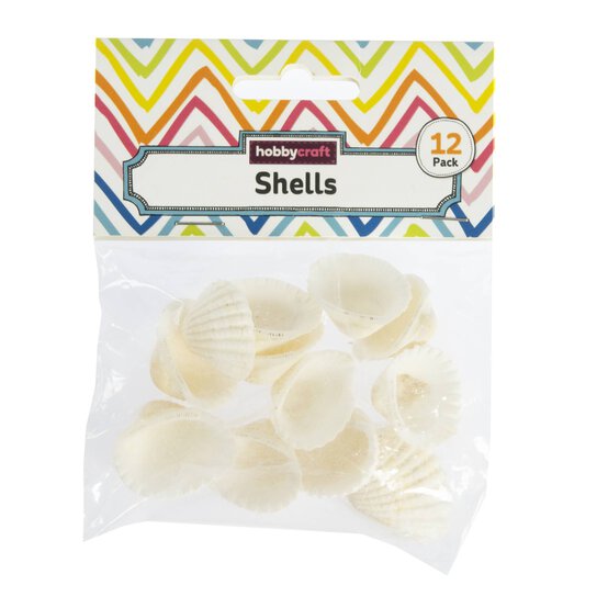 Natural Craft Shells 12 Pack image number 3