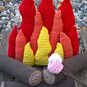 How to Make a Camp Fire image number 1