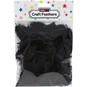 Black Craft Feathers 5g image number 3