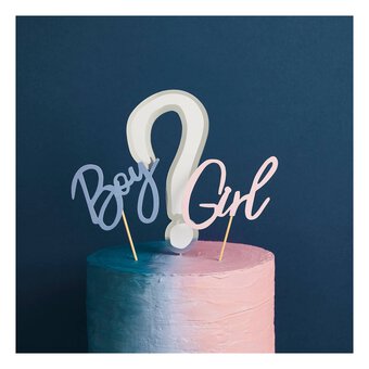 Gender Reveal Cake Topper Set 