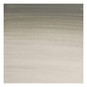 Winsor & Newton Davys Gray Professional Watercolour Tube 5ml image number 2