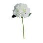 Cream Short Stem Hydrangea 40cm x 17cm image number 1
