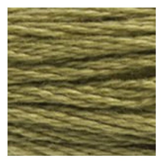 DMC Green Mouline Special 25 Cotton Thread 8m (3012) image number 2