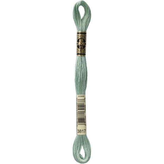 DMC Green Mouline Special 25 Cotton Thread 8m (3817) image number 3