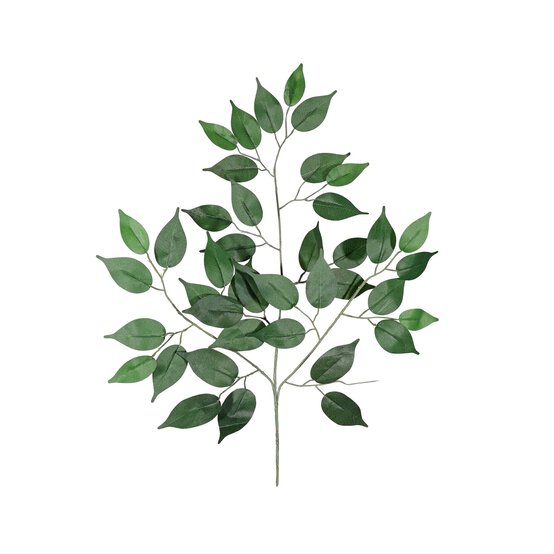 Green Ficus Branch 60cm x 40cm image number 1