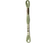 DMC Green Mouline Special 25 Cotton Thread 8m (3053) image number 3