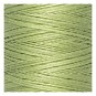 Gutermann Green Cotton Thread 100m (9837) image number 2