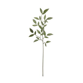 Ruscus Spray 72cm