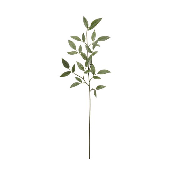 Ruscus Spray 72cm image number 1
