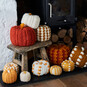 How to Crochet a Collection of Pumpkins - Free Patterns image number 1