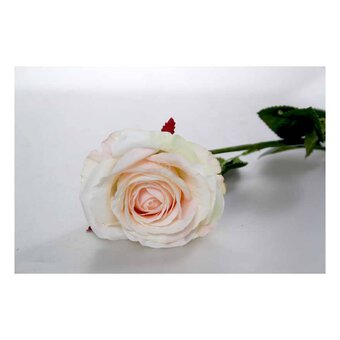 Champagne Camelot Open Rose 74cm x 10cm