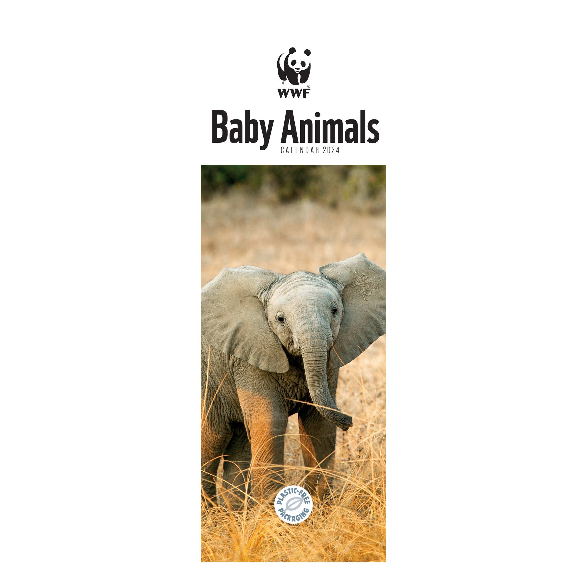 Buy WWF Baby Animals Slim Calendar 2024 for N/A 0.0 HobbyCraft UK